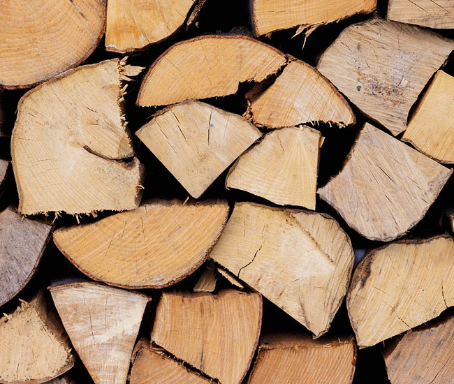 brennholz_650x550